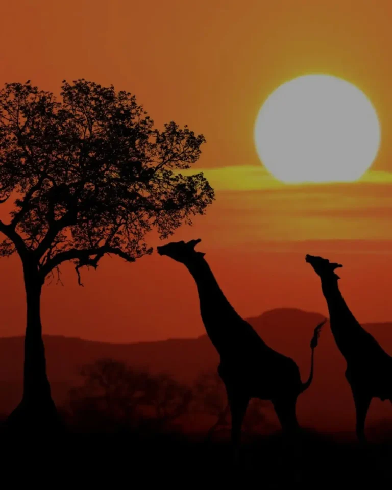 nam-phi-thumporrtrait (2)