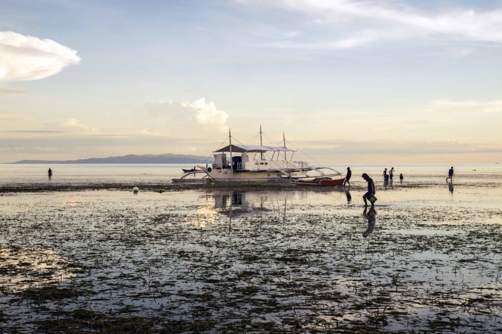 South Palms Resort & Spa Panglao - MGallery Collection ©Jason Lang (3) lớn