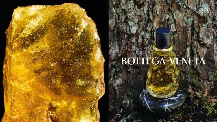 New perfume Bottega Veneta1