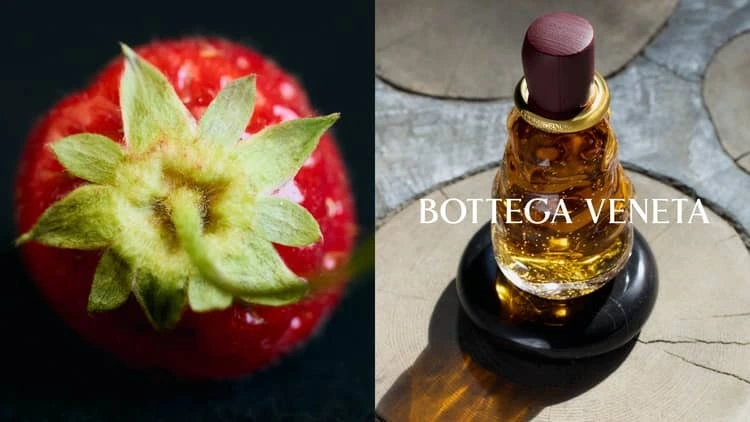 New perfume Bottega Veneta2