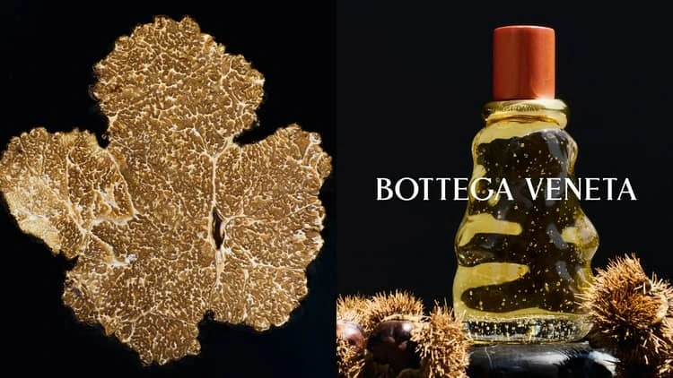 New perfume Bottega Veneta3