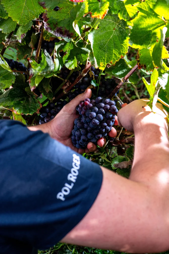 Passion-Week-2025-Park-Hyatt-22