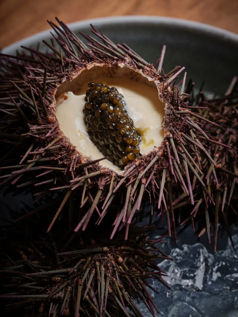 Passion-Week-2025-Park-Hyatt--3