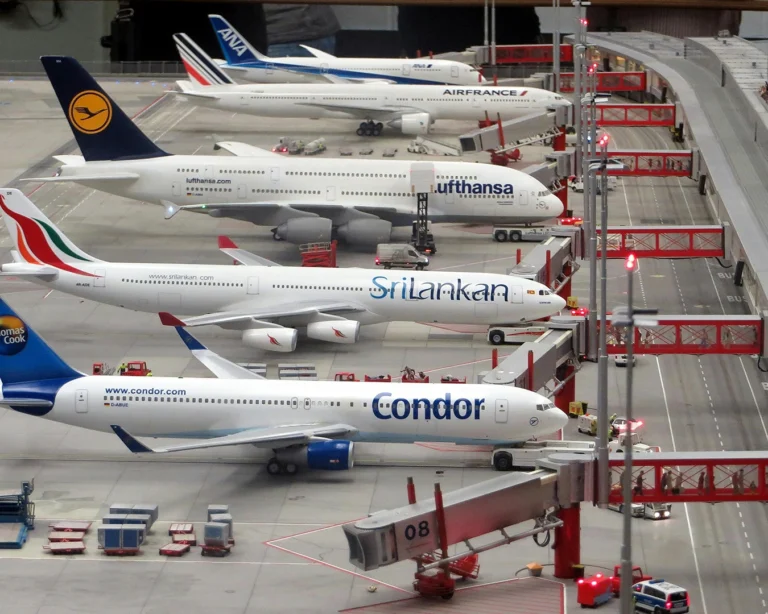 chuyen-bay-lien-danh-codeshare-flight-khac-gi-voi-chuyen-bay-thuong-thum