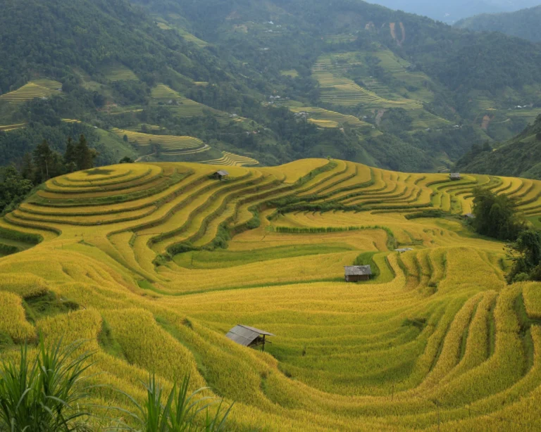 di-ha-giang-mua-cuoi-nam-thumb