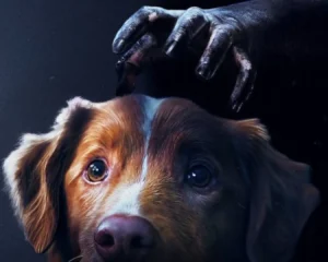 good-boy-1