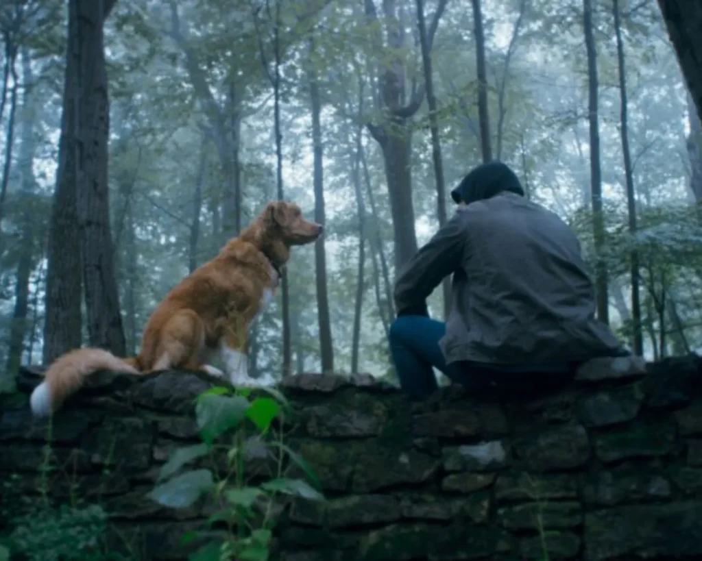 good-boy-6