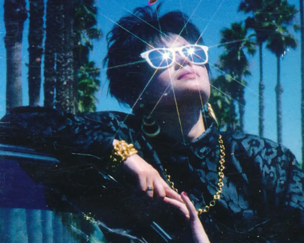 dia-nhac-dan-nguyen-vwave5