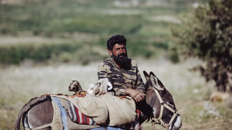 IRAN_Le_Hoang_giang-2025 (12)