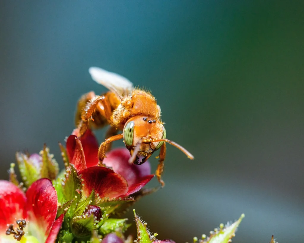 Rolex Awards 2026 Nâng tầm sứ mệnh bảo vệ hành tinh nhân kỷ niệm 50 năm_12