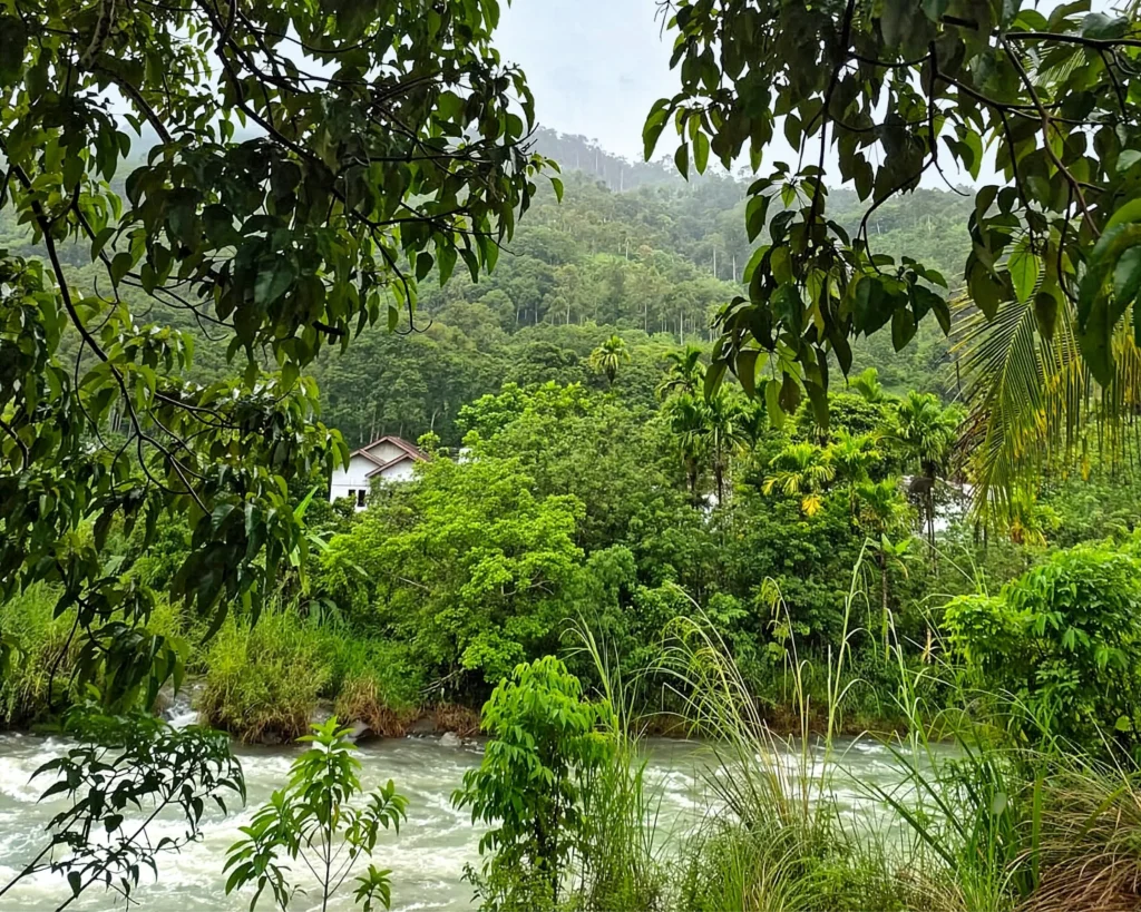 Rolex Awards 2026 Nâng tầm sứ mệnh bảo vệ hành tinh nhân kỷ niệm 50 năm_6