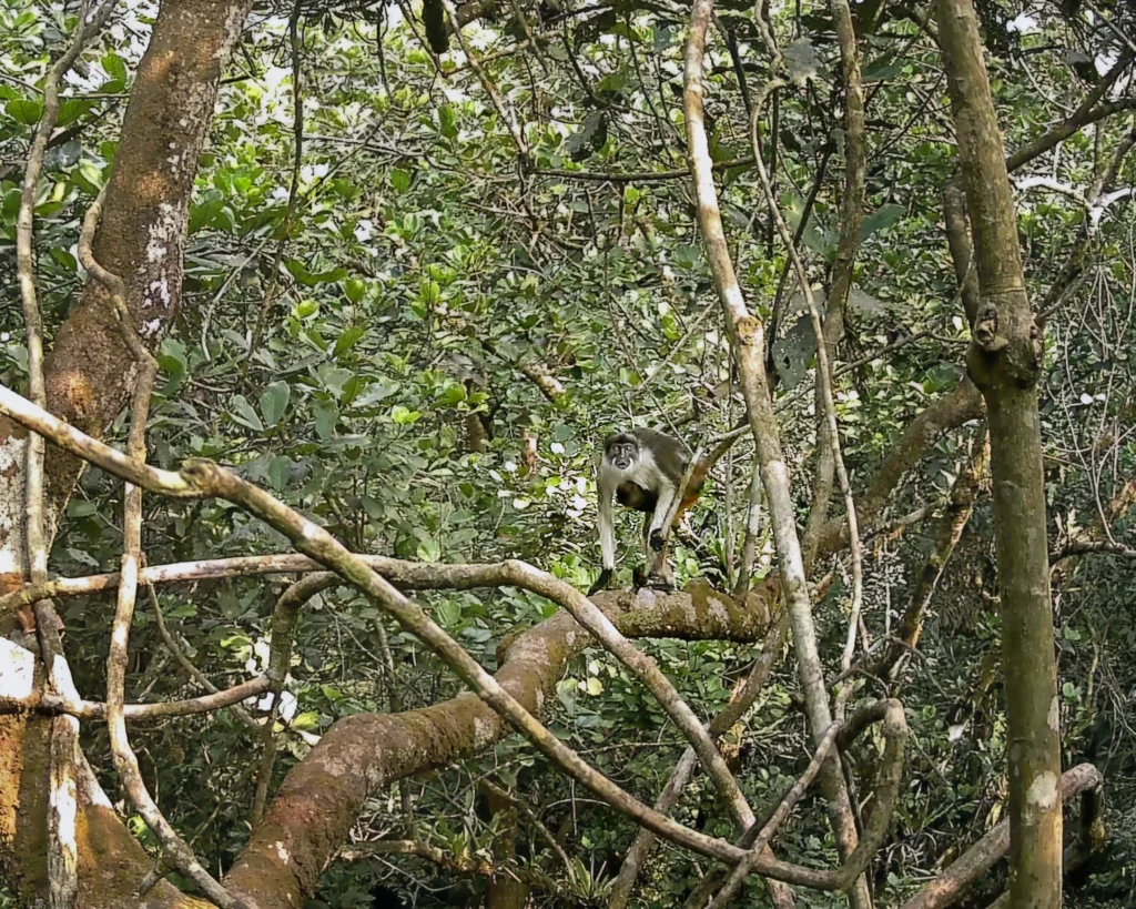 Rolex Awards 2026 Nâng tầm sứ mệnh bảo vệ hành tinh nhân kỷ niệm 50 năm_9