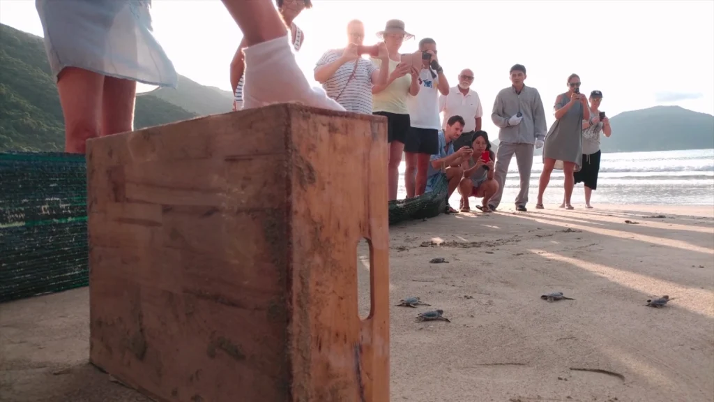 Sứ mệnh hồi sinh những mầm sống đại dương từ Trung tâm ấp trứng “Let’s Get Cracking”_11