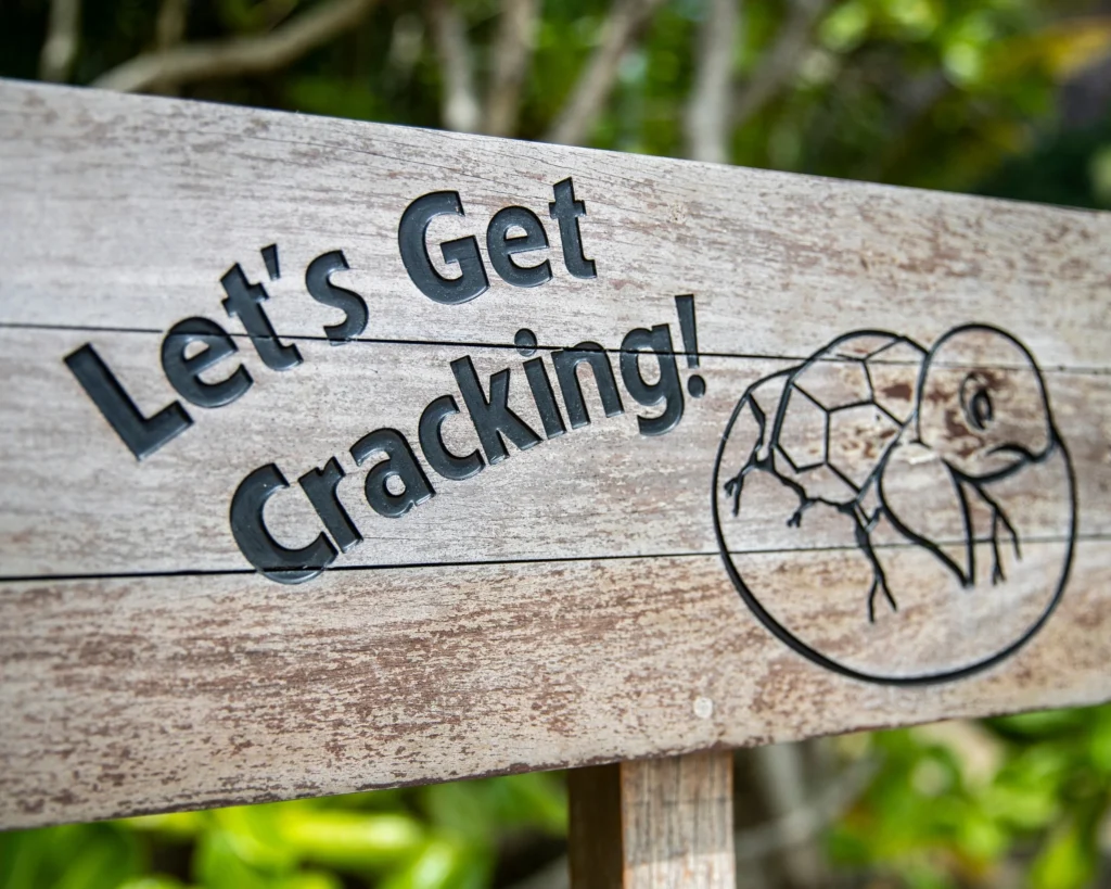 Sứ mệnh hồi sinh những mầm sống đại dương từ Trung tâm ấp trứng “Let’s Get Cracking”_4