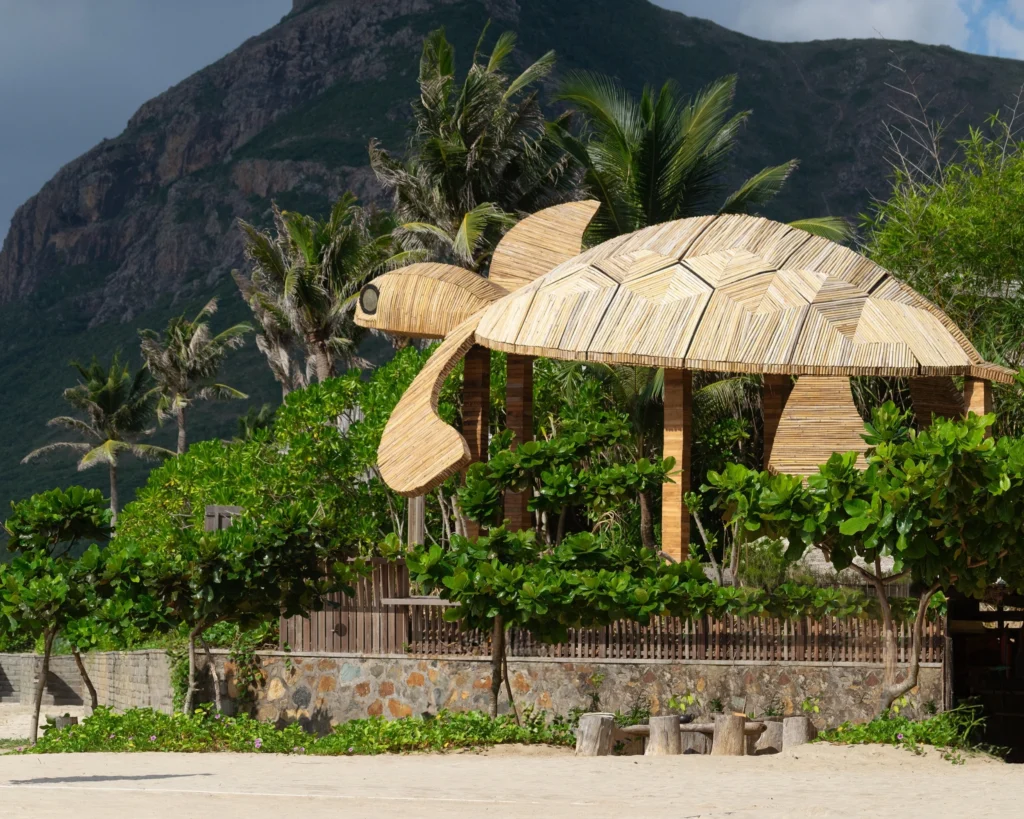 Sứ mệnh hồi sinh những mầm sống đại dương từ Trung tâm ấp trứng “Let’s Get Cracking”_6