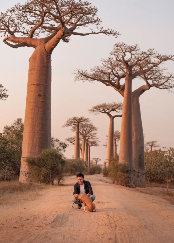 khoai-lang-thang-mot-chuyen-di-mot-lan-gap-lai-11