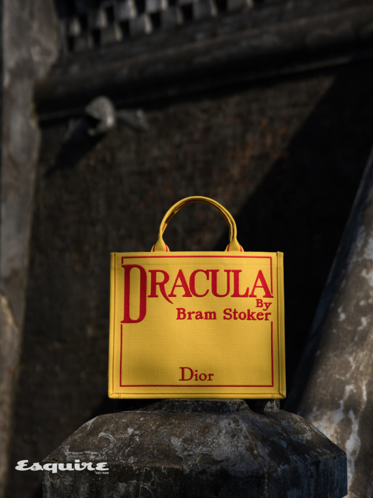 photoshoot dior esquire vn (2)