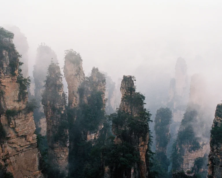 48 giờ ở Trương Gia Giới, Trung Quốc