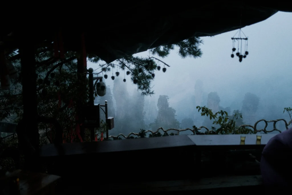 48 giờ ở Trương Gia Giới, Trung Quốc_6
