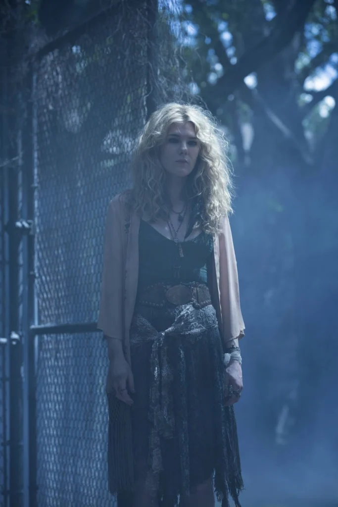 AHS-13 (7)