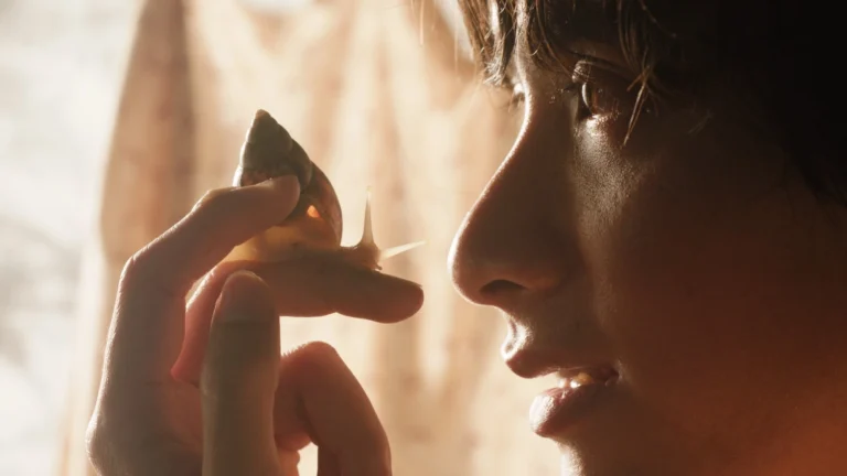 phim-viet-cannes-20268