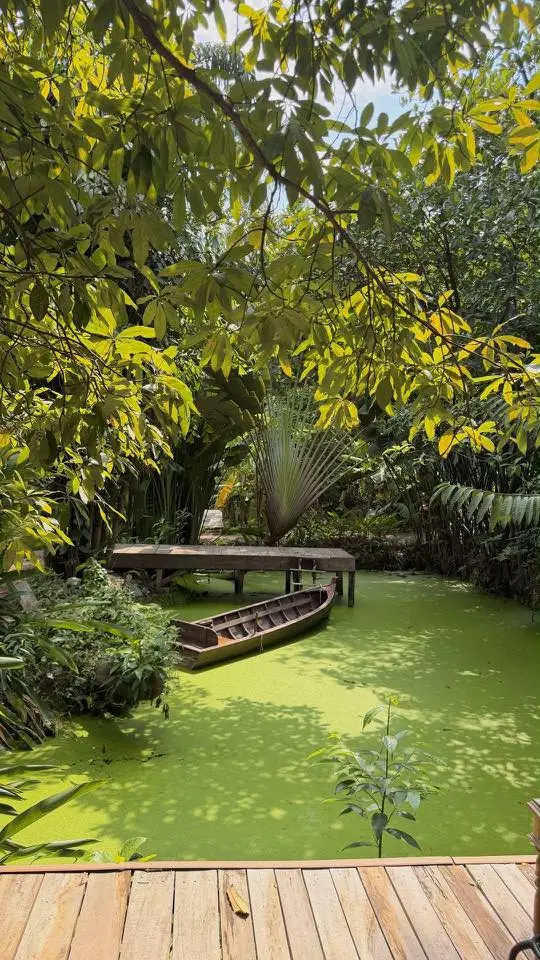 hồ-matcha (6)