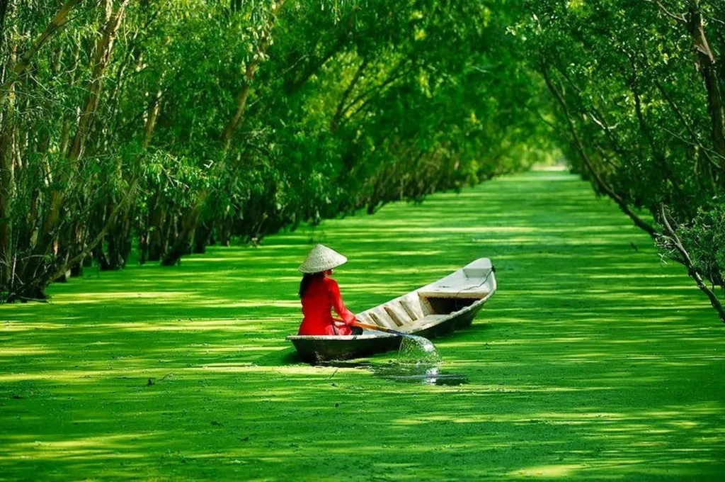 hồ-matcha (9)