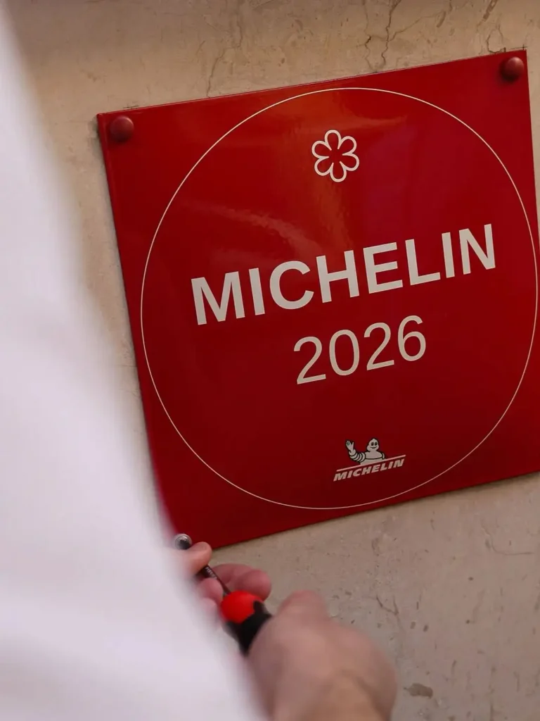michellin-opion-7