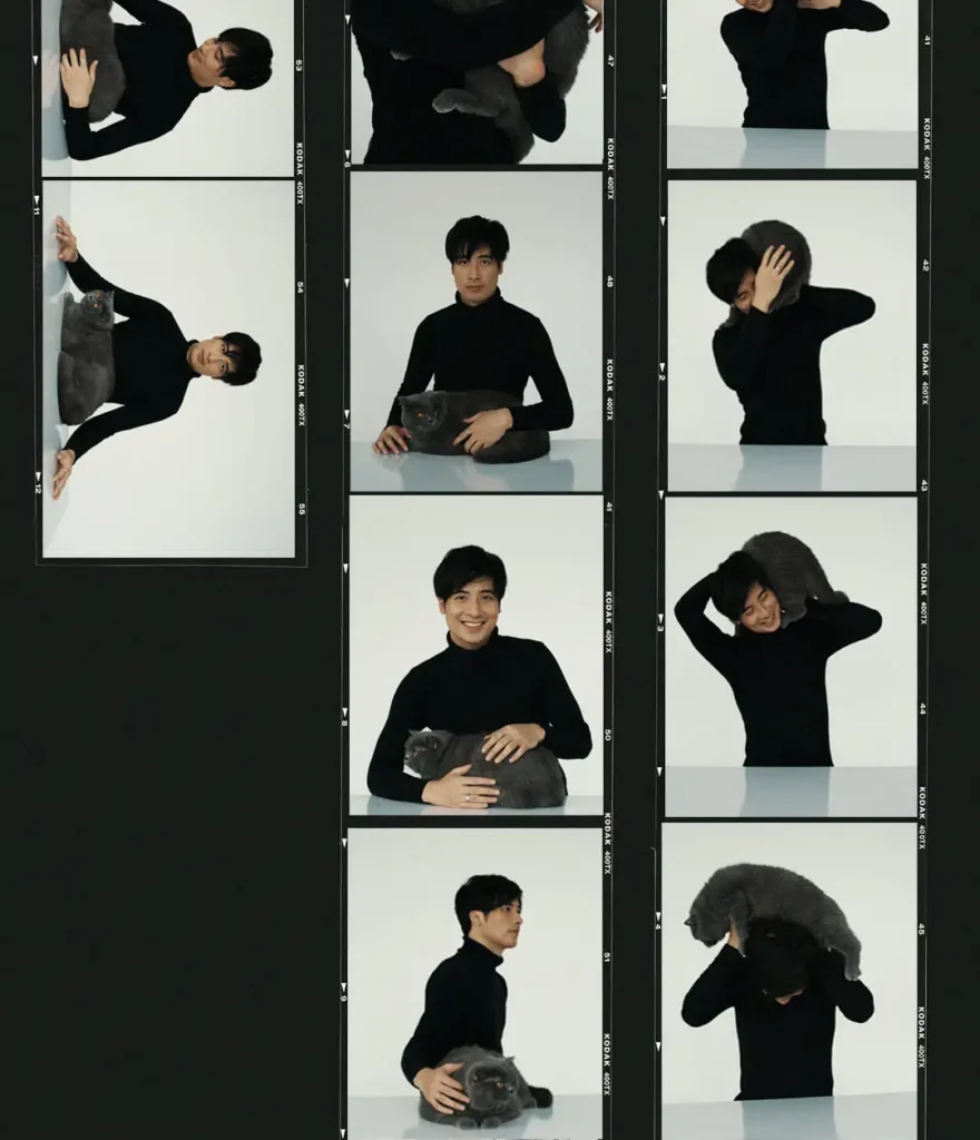 vfilm (7)