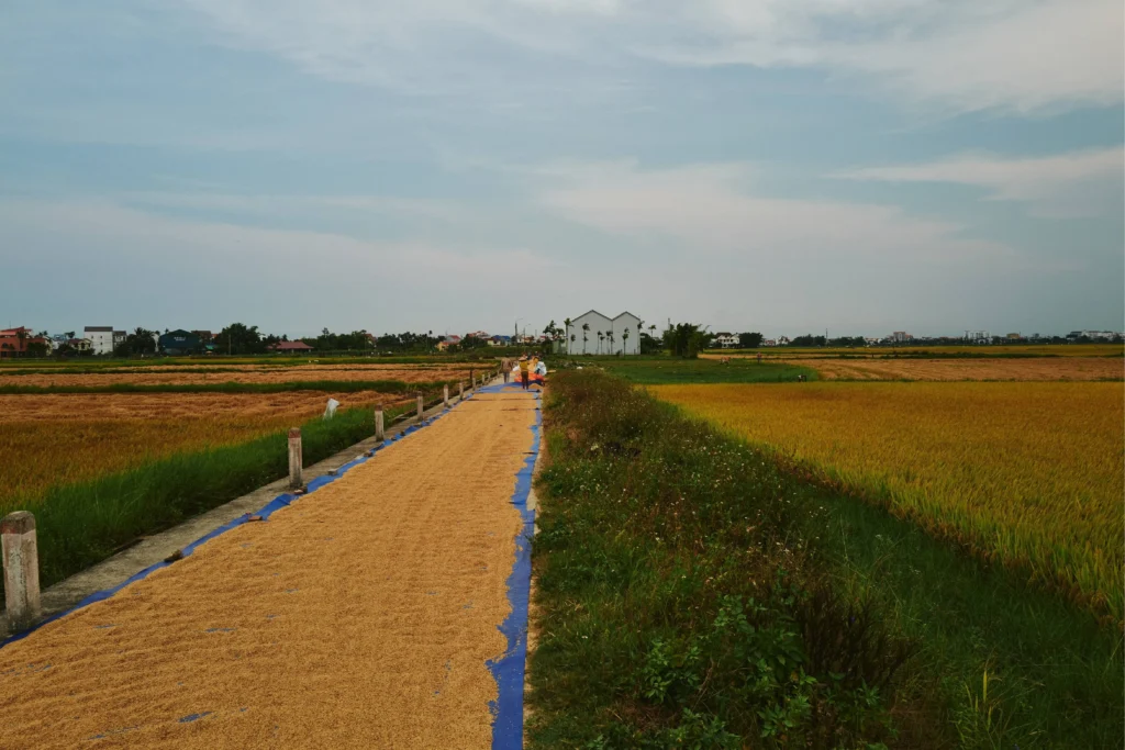 Hội An qua lăng kính nhiếp ảnh_6