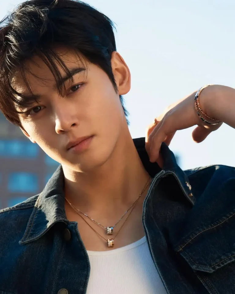 Diễn viên nam Hàn Quốc nổi tiếng, đẹp trai: Cha Eun Woo