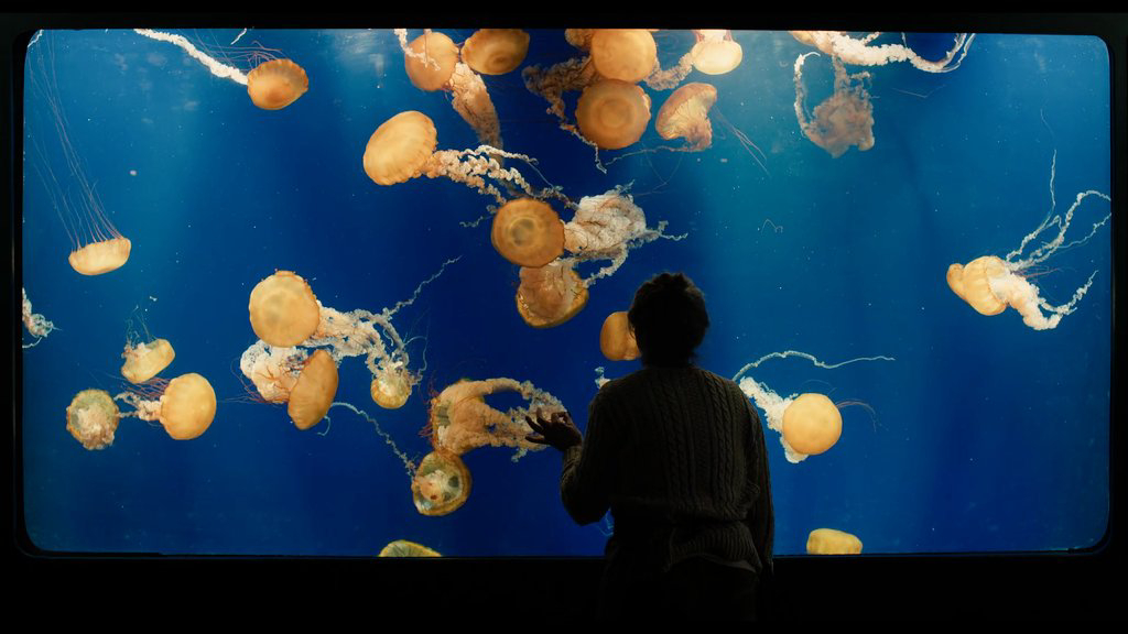 remarkably-bright-creatures-khi-mot-chu-bach-tuoc-dan-loi-nhung-ton-thuong 6
