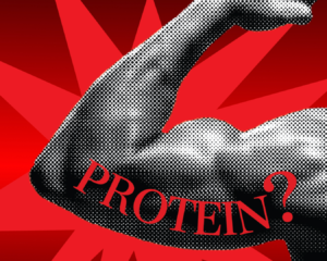 nam-gioi-can-bao-nhieu-protein thum