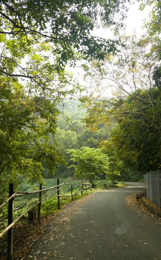 vungtau-nhung-no-nghi-mat-cuoi-tuan-danh-cho-nguoi-ban-ron1