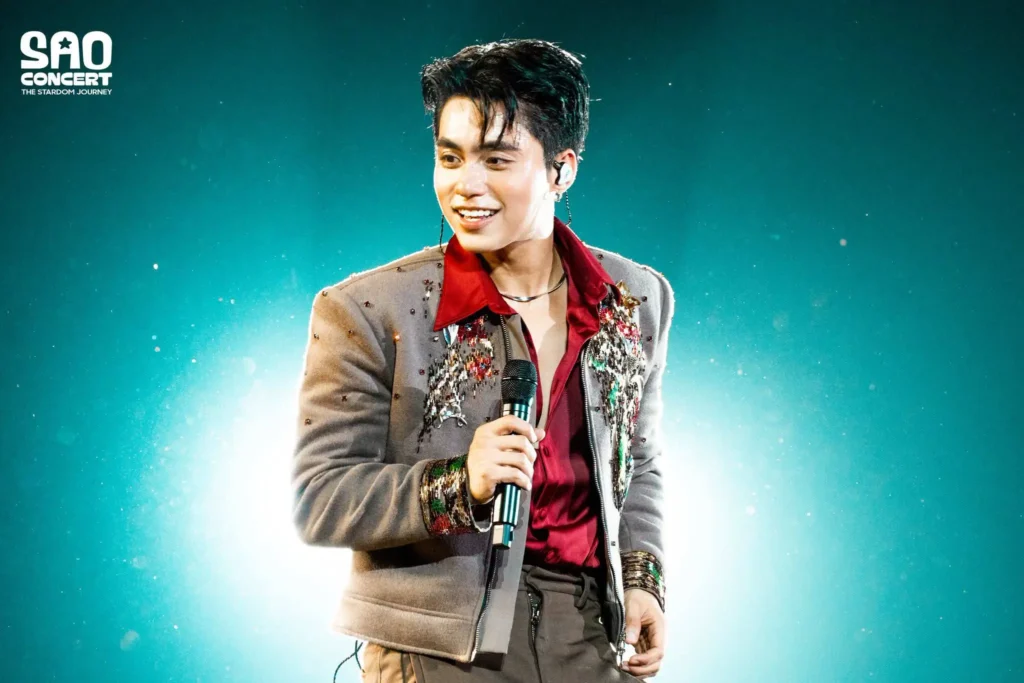 vuong-binh-don-sinh-nhat-ben-grey-d-phung-khanh-linh-tai-sao-concert 22