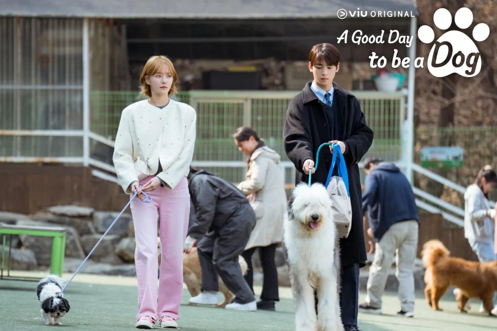 Cha Eun Woo đóng phim gì? Cún cưng của ngày hôm nay - A good day to be a dog (2023)