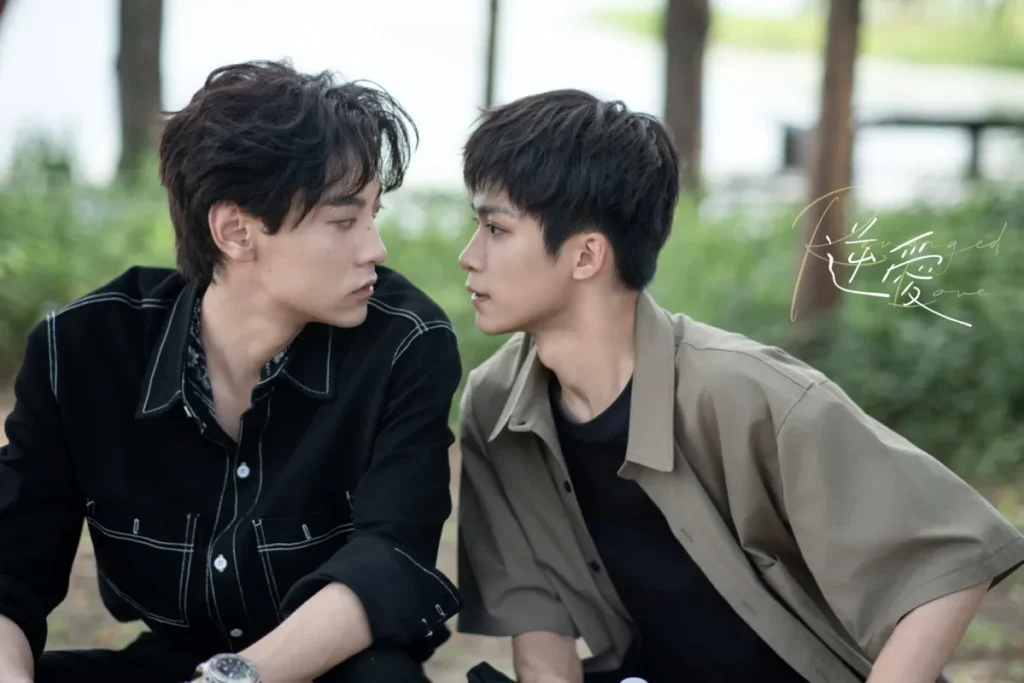 Phim boy love Trung Quốc hay: Nghịch ái – Revenged Love (2025)
