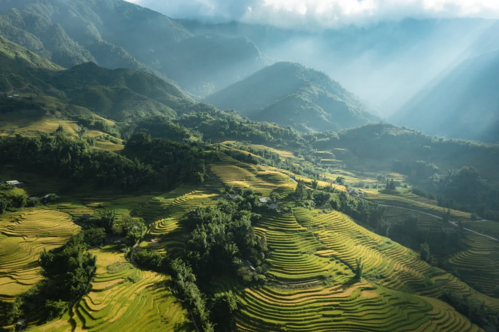 Sa Pa mùa vàng qua góc nhìn của nghệ thuật đương đại-6
