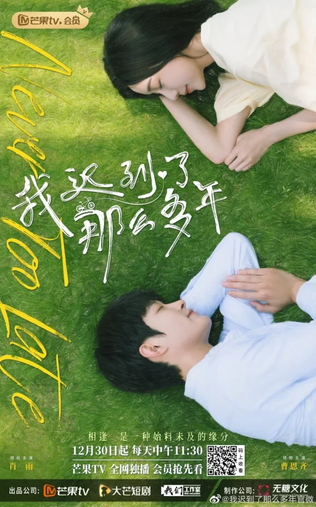 Anh tới trễ từng ấy năm – Never Too Late (2023)