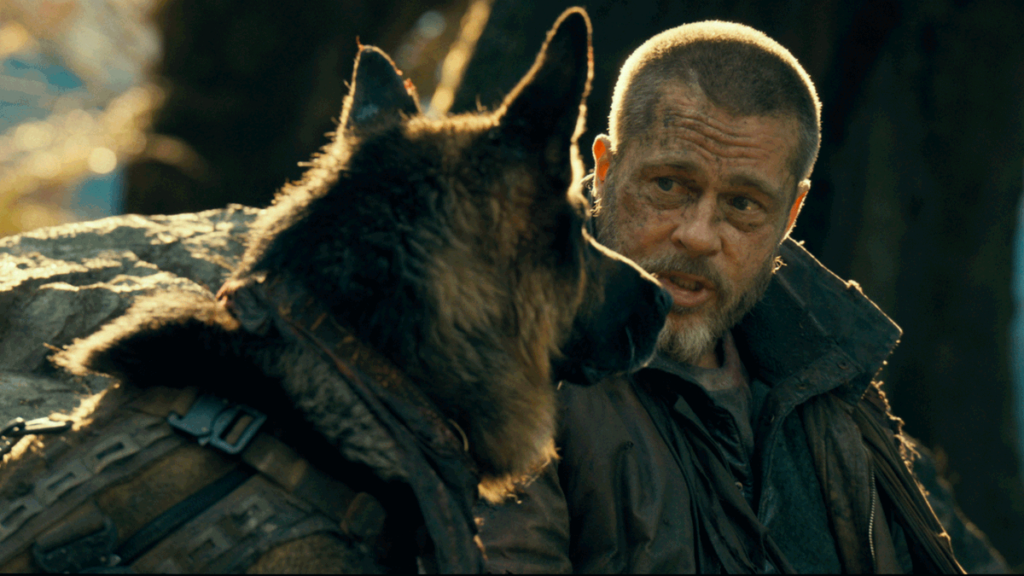 uber-chu-cho-cuu-ho-doi-doi-khi-sanh-vai-brad-pitt-tren-man-anh-hollywood 3