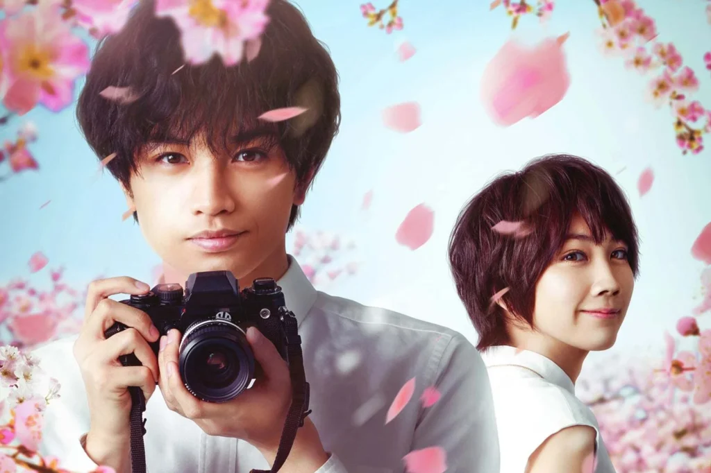 Tình yêu như cánh hoa rơi – Love Like the Falling Petals (2022)